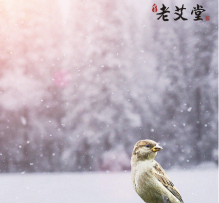 今日大雪，牢記3個(gè)字和1個(gè)穴，補(bǔ)透一整年!