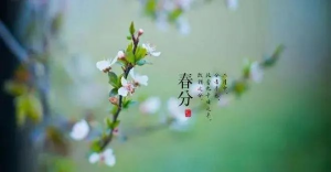 今日春分 | 春分艾灸，疏肝火，養(yǎng)脾胃，記得順時養(yǎng)生！