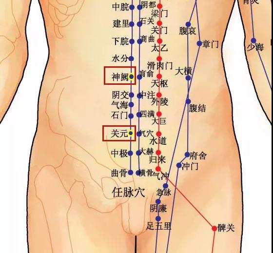 居家防疫用艾灸